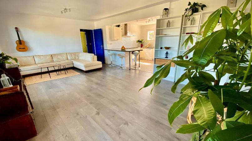 Sewa Surf House 10Min De Capbreton Hossegor Hotel Benesse-Maremne ภายนอก รูปภาพ