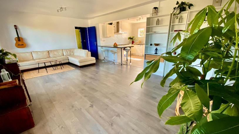Sewa Surf House 10Min De Capbreton Hossegor Hotel Benesse-Maremne ภายนอก รูปภาพ