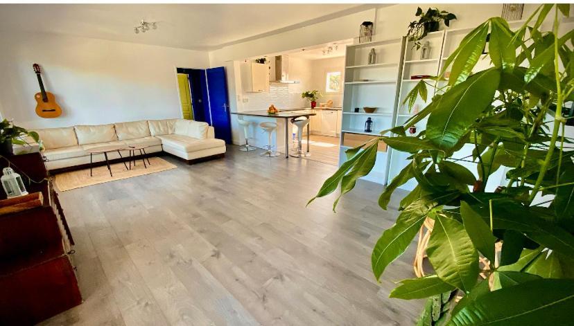 Sewa Surf House 10Min De Capbreton Hossegor Hotel Benesse-Maremne ภายนอก รูปภาพ